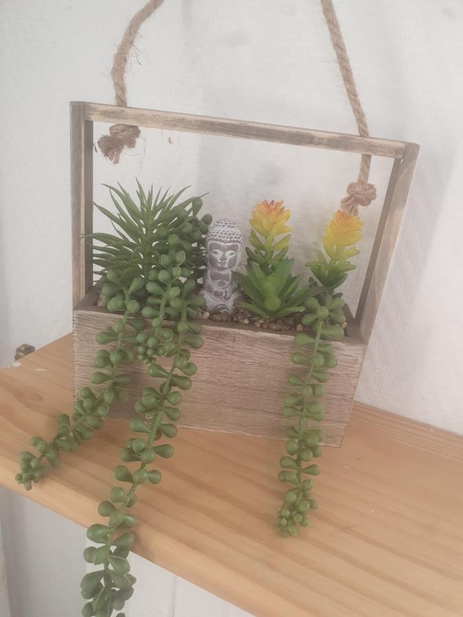 Chambre Zen Chez L'Habitant วาลองซ์ ภายนอก รูปภาพ